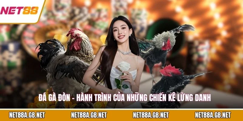 Đá Gà Đòn